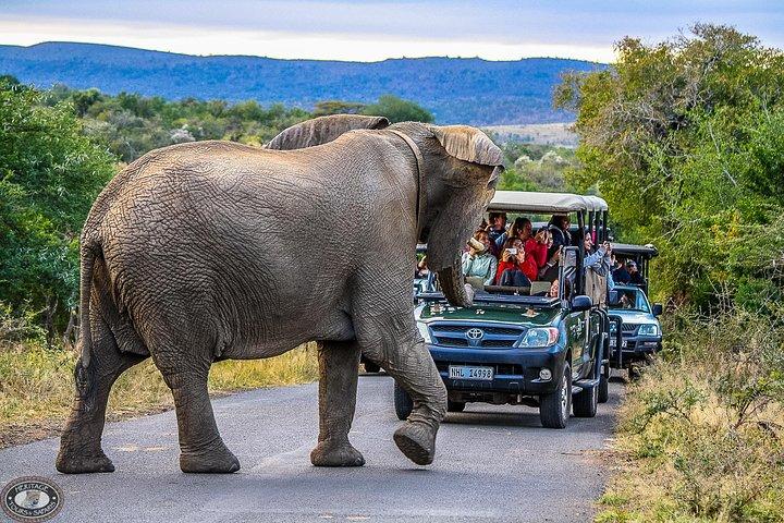 Hluhluwe-Imfolozi Park Ganztägige Big 5 Safari-Tour