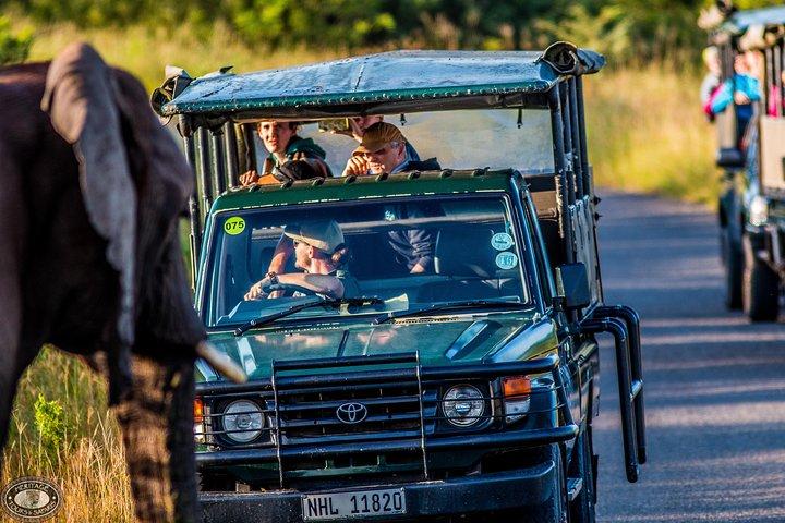 Hluhluwe-Imfolozi Park Ganztägige Big 5 Safari-Tour