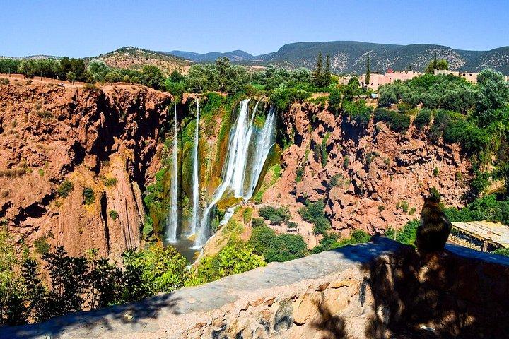 Marrakech Day Tour til Ouzoud vandfald
