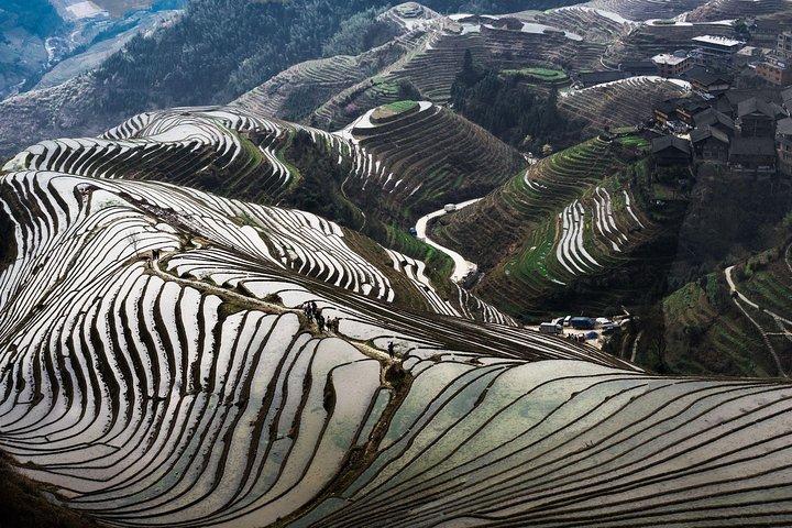 1 日ツアー : 龍吉の棚田と少数民族の村