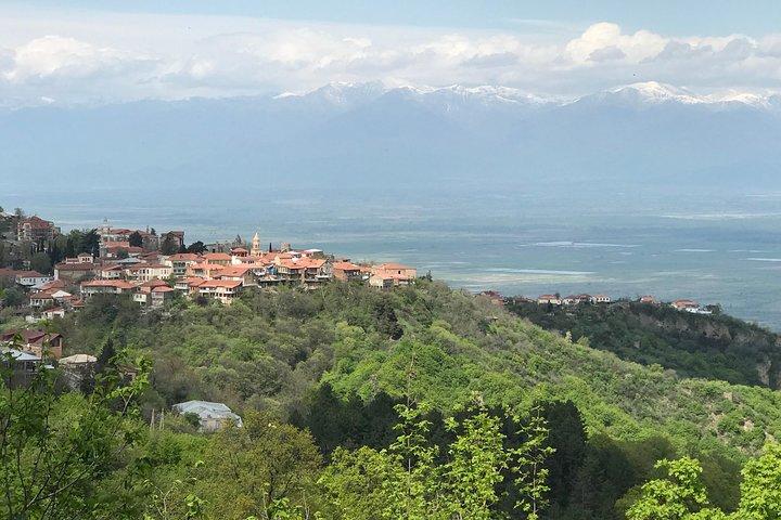 2 dages privat økologisk vintur til Kakheti-regionen via Rustavi og David Gareja