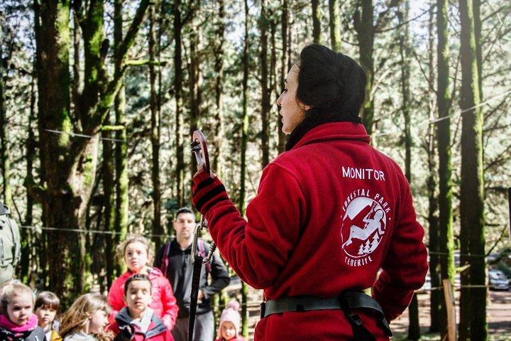 Forestal Park Teneriffa Eintrittskarte