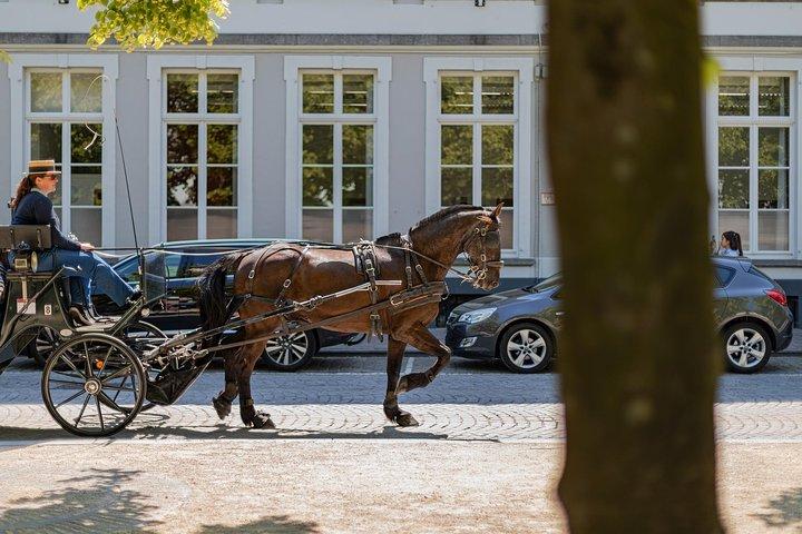 Brugge: romantiek, schilderijen en chocolade (privé dagtocht vanuit Parijs)