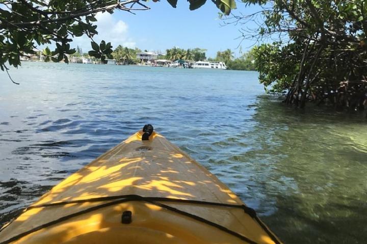 Location de kayak d'une demi-journée à Key West