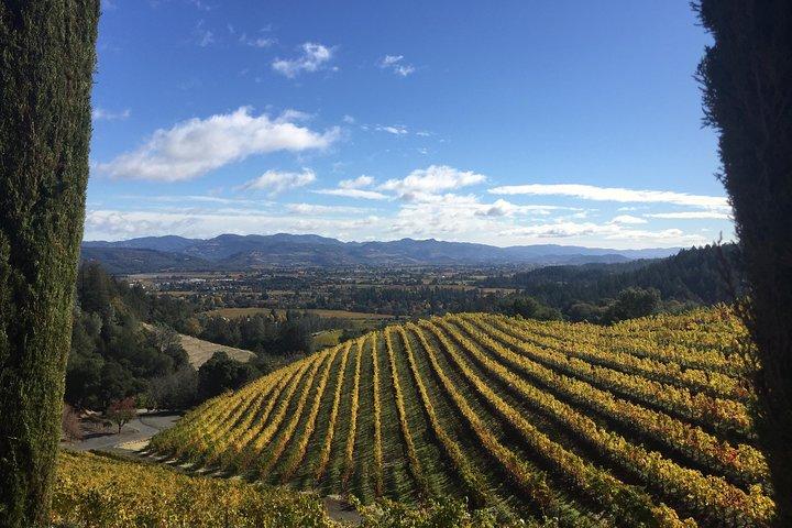 6-stündige private Weinlandtour durch das Napa Valley (bis zu 6 Personen) in einem großen SUV