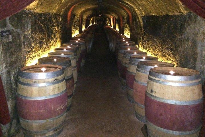 Private Weintour von San Francisco nach Napa