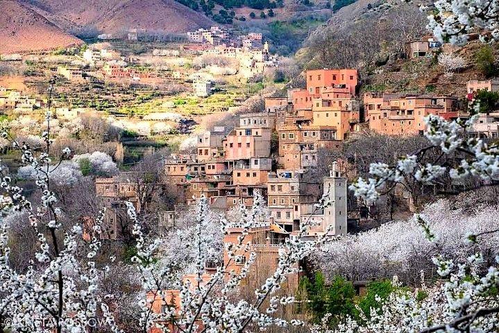 Excursion guidée d'une journée dans les montagnes de l'Atlas, les trois vallées et les cascades au départ de Marrakech