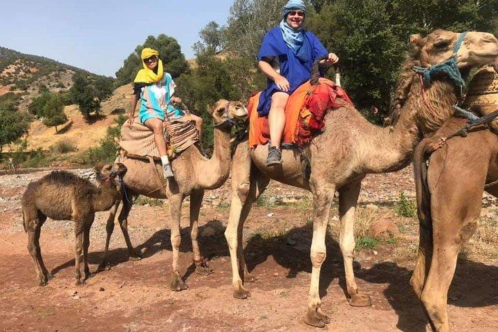Excursion guidée d'une journée dans les montagnes de l'Atlas, les trois vallées et les cascades au départ de Marrakech