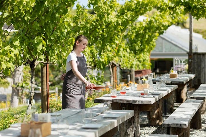 Private Tour - Horse Riding, Wine Tasting and Art Trail