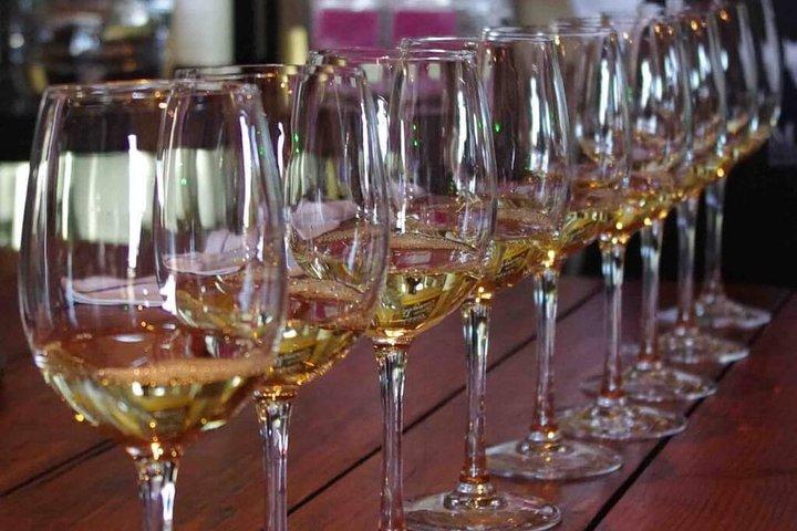 Visite privée - Waiheke Island Luxury Experience