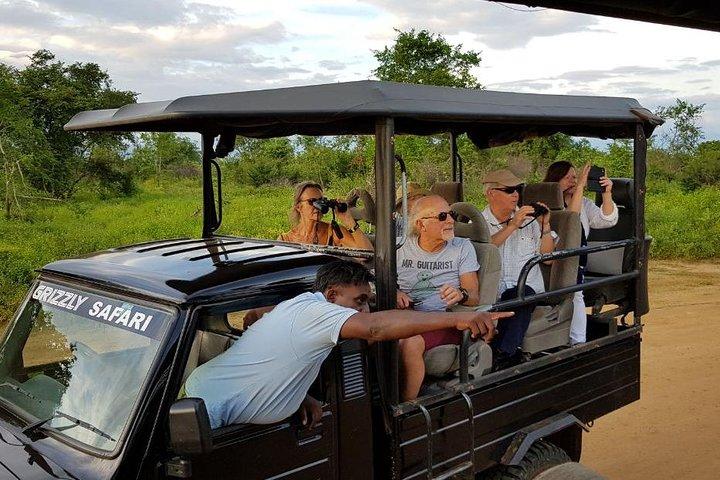 Yala halvdags safari
