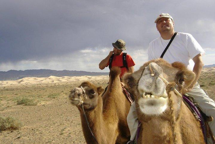 1 Tag Semi-Gobi Tour mit Mittagessen und Kamel- oder Pferdegenuss