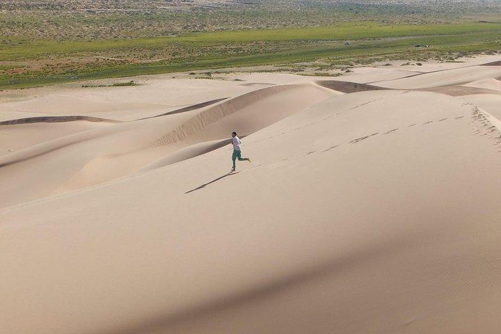 1 Tag Semi-Gobi Tour mit Mittagessen und Kamel- oder Pferdegenuss