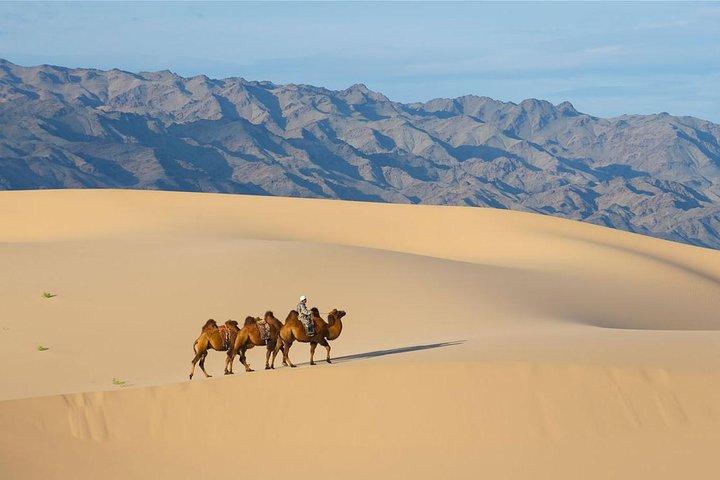 1 Tag Semi-Gobi Tour mit Mittagessen und Kamel- oder Pferdegenuss