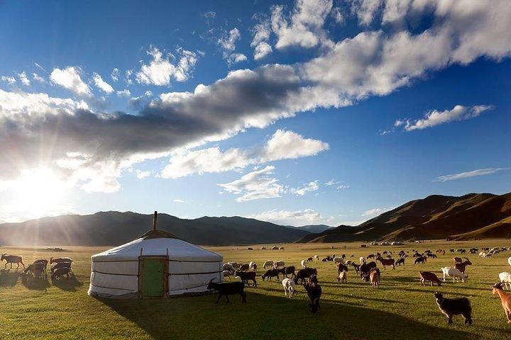 Tour de 2 días al Parque Nacional