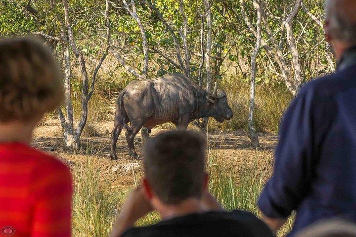 iSimangaliso Wetland Park, Ganztagestour