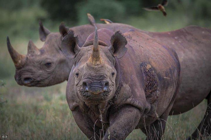 iSimangaliso Wetland Park, Ganztagestour