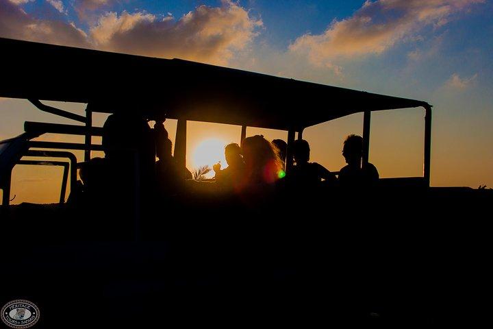 iSimangaliso Wetland Park, Ganztagestour