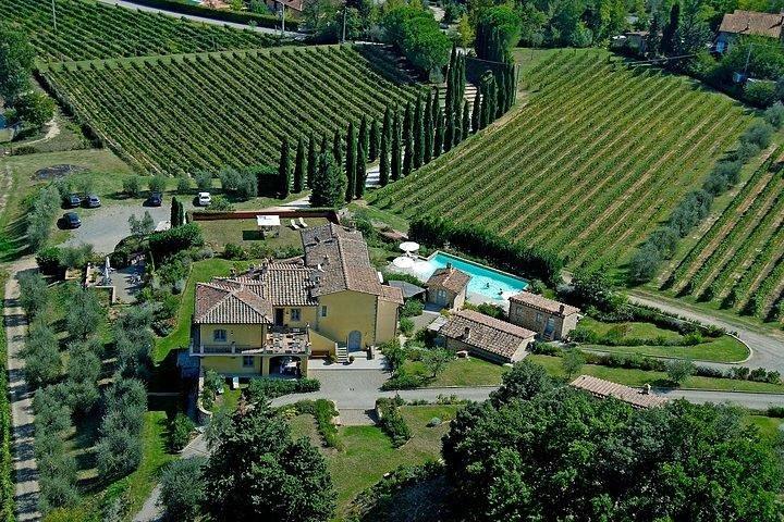Tour de vinos con almuerzo y degustación de vinos.