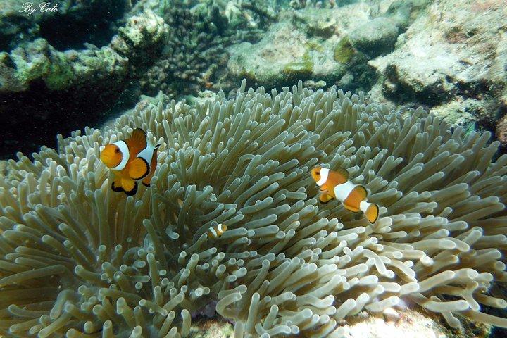 Krabi à James Bond et aux îles Hong Kong Excursion hors-bord décalée