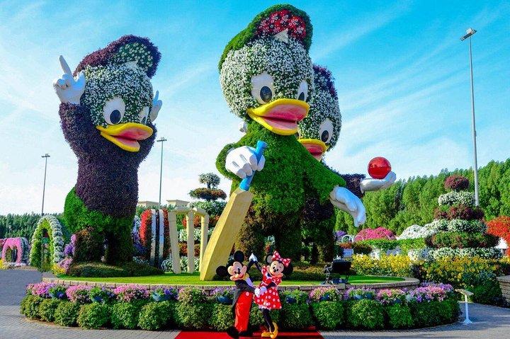 Miracle Garden Ticket Dubai mit Sammeltransfers