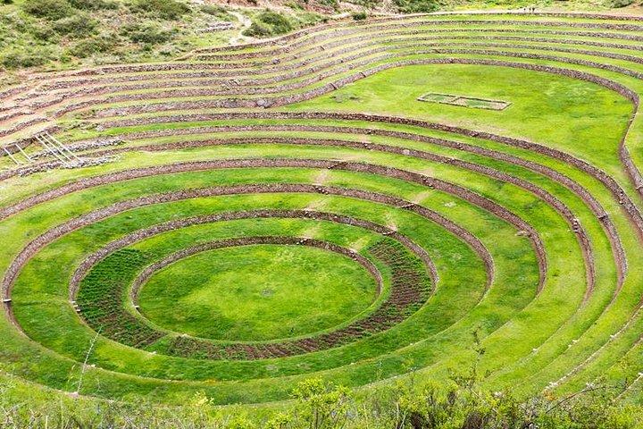 Sacred Valley VIP-upplevelse – Heldag