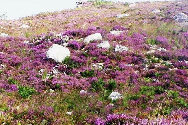 Burren Co Clareの歴史あるサイトの自転車ツアー