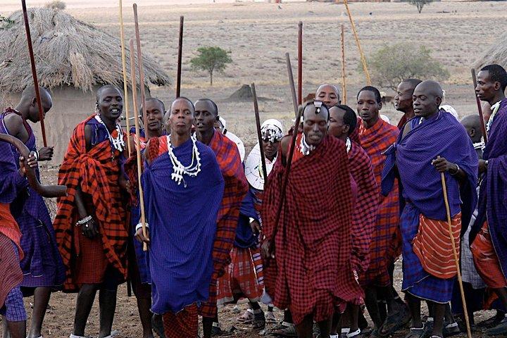 Game Drive a Mikumi National Park - Maasai Visit & Udzungwa Mountain Trekking