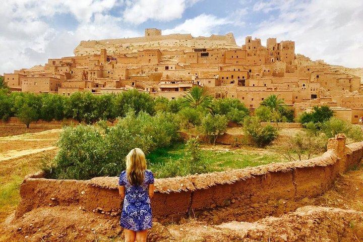 Marrakech: Agafay Desert and Atlas Mountains Tour & Camel Ride