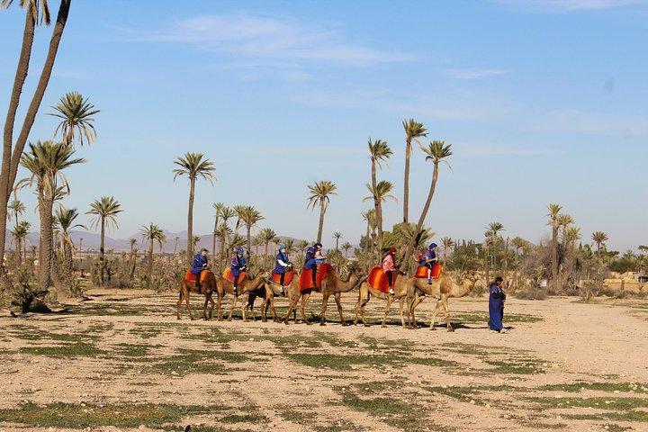 Marrakech Palmeraie 1-stündiger Kamelritt