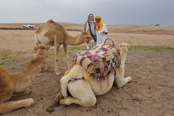 Marrakech: Agafay Desert and Atlas Mountains Tour & Camel Ride
