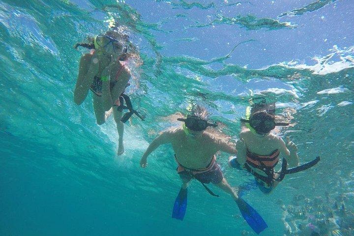 Half Day “LITE TOUR” to Isla Mujeres