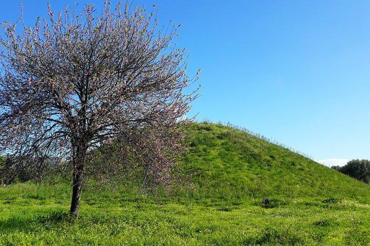 Marathon, Thermopylae/Herodotus historie privat tur (9 timer)
