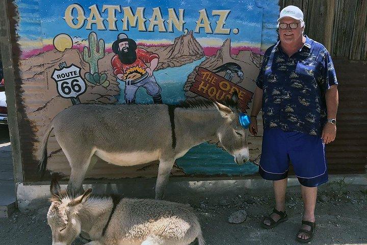Oatman Mining Camp & Burros: tour storico della Route 66 da Laughlin