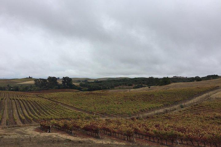 6-timmars privat Limousine Wine Country Tour i Napa eller Sonoma