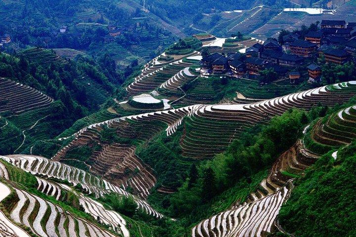Rizières en terrasses de Longji et visite privée du village minoritaire de Guilin