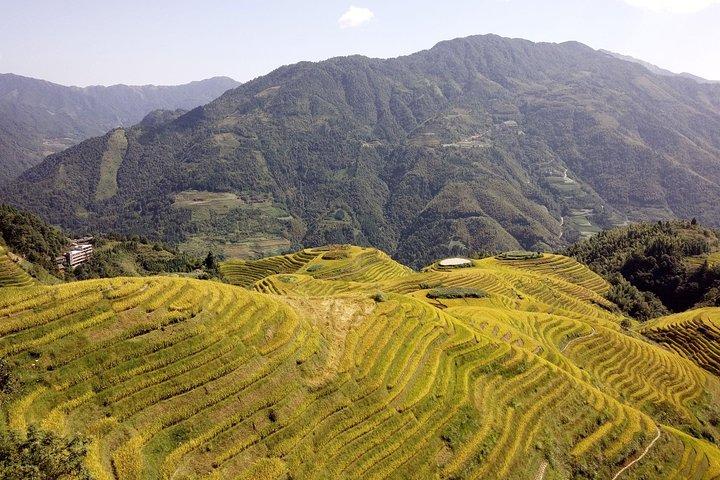Rizières en terrasses de Longji et visite privée du village minoritaire de Guilin