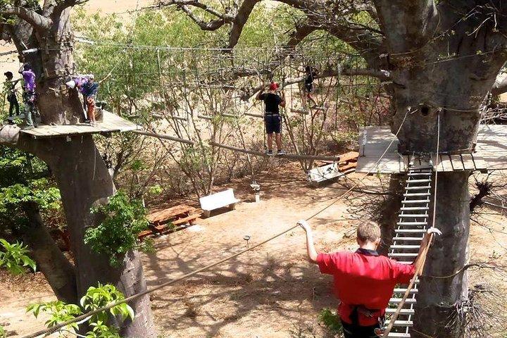Ingresso para o Accro Baobab Adventure