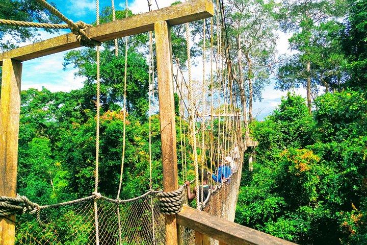 The Cape Coast Tour