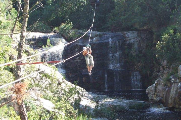 Ziplining in Elgin