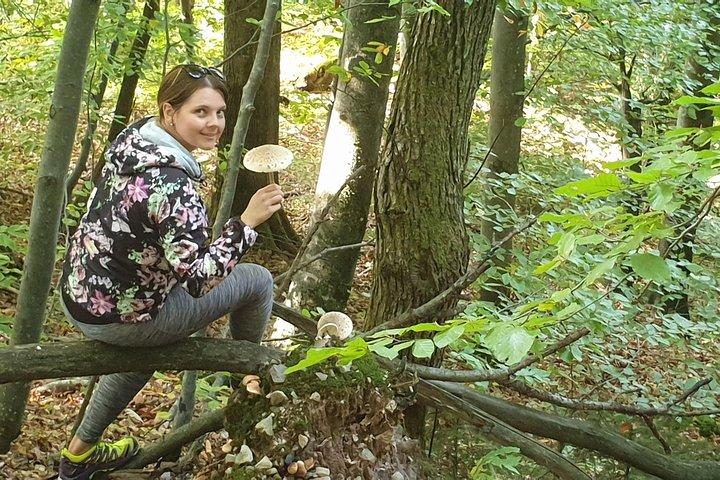 TOUR DE BÚSQUEDA DE SETAS EN ESLOVENIA