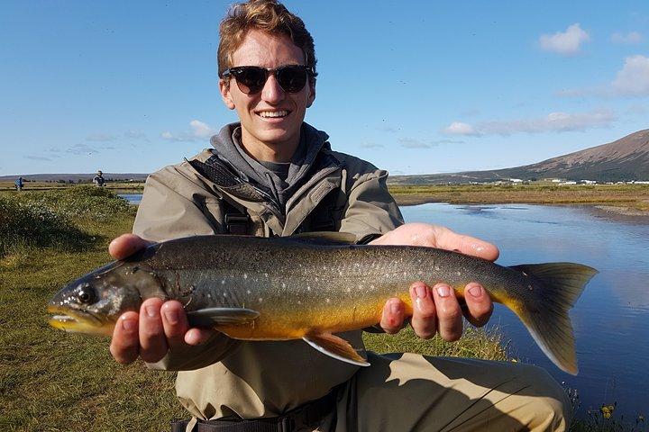 Privat fisketur fra Reykjavik - ishavsørred og brunørred