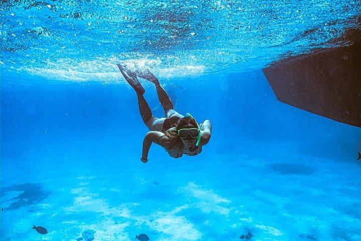 Snorkel para grupos pequenos em Catalina Bay e vela ao pôr do sol somente para adultos