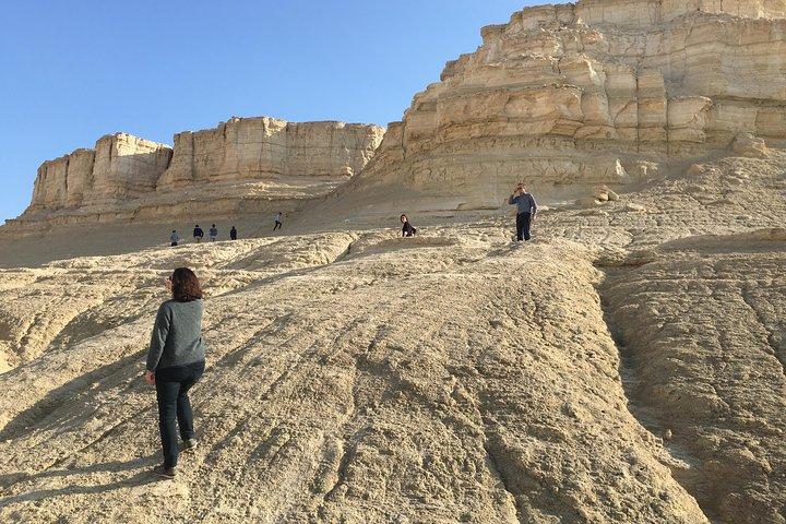 GoKEDEM Private Negev & Ramon Crater Adventure da Tel Aviv con festa beduina
