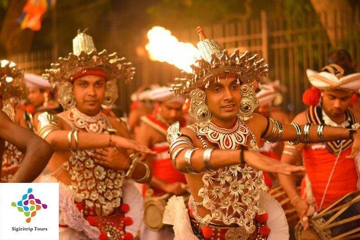 Personal Driver For Your Two Weeks Round Tour In Sri Lanka