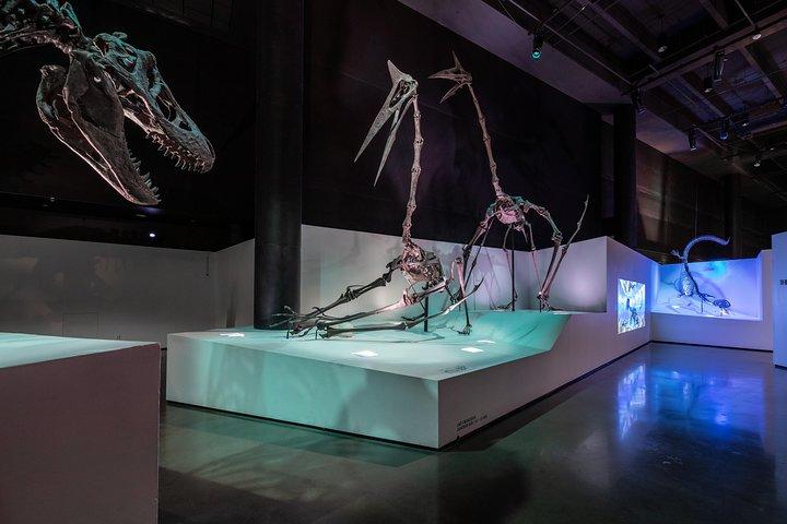 Houston Museum of Natural Science General Admission