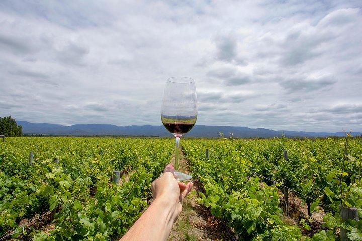 4-dages semiprivat Mendoza Wine Experience