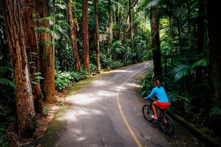 マウンテンバイクTijuca Rain Forest Full
