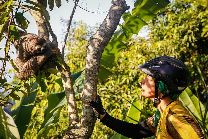 マウンテンバイクTijuca Rain Forest Full