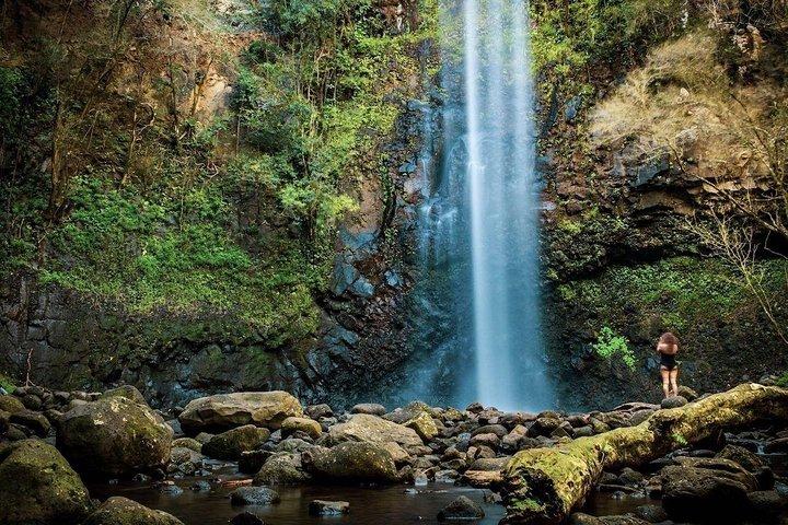 Wailua River & Waterfalls Kajaktur: Ekspertstyret eventyr